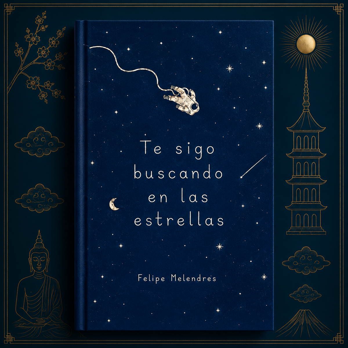 Te sigo buscando en las estrellas — Felipe Melendres